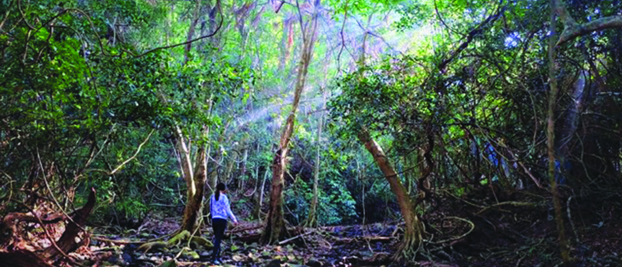 cover Human Adventures ✨ Episode: Backpacking in the Forest with 3 Brave Souls for Under 1,000 Baht 😻
