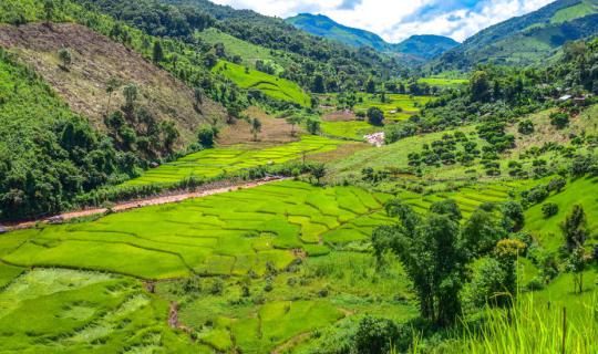 Cover Nan-Phayao: Skywalk, Rice Terraces, and Ma-Prang Hill - One Trip, Ma...