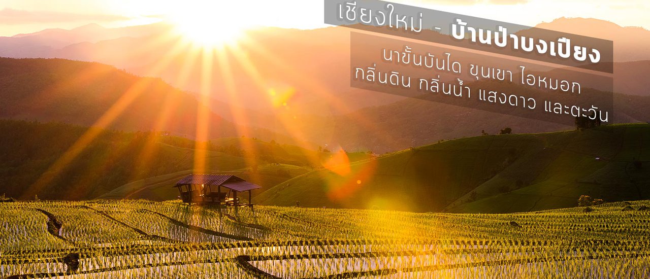 cover นาขั้นบันได ขุนเขา ไอหมอก กลิ่นดิน กลิ่นน้ำ แสงดาว และตะวัน - บ้านป่าบงเปียง - เชียงใหม่
