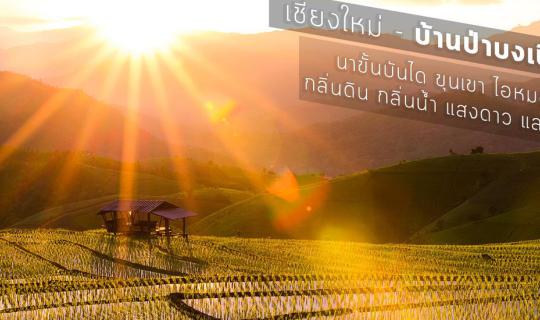 cover นาขั้นบันได ขุนเขา ไอหมอก กลิ่นดิน กลิ่นน้ำ แสงดาว และตะวัน - บ้านป่าบงเปียง - เชียงใหม่