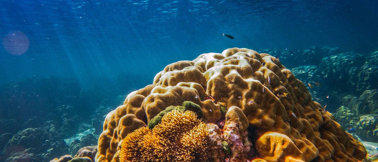 cover A Bruised Heart at Koh Rok