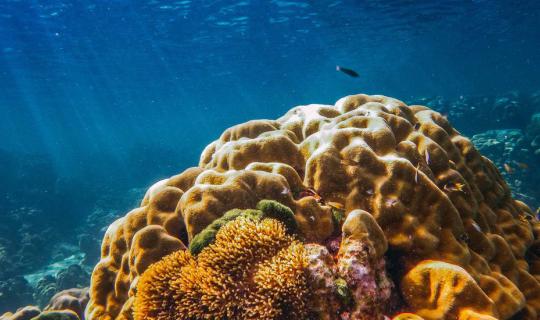 cover A Bruised Heart at Koh Rok