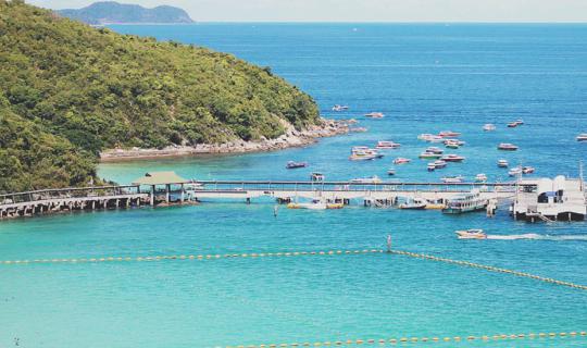 cover ● We didn't come to escape the heat or love, but to find love on Koh Lan. ●
