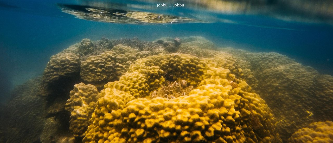 cover (Pierced through the heart)