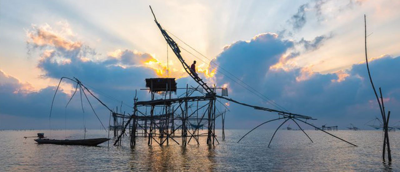 cover ยอยักษ์ ตักตะวัน ทะเลน้อย ควายน้ำ นกอพยพ ต้นลำพู – พัทลุง