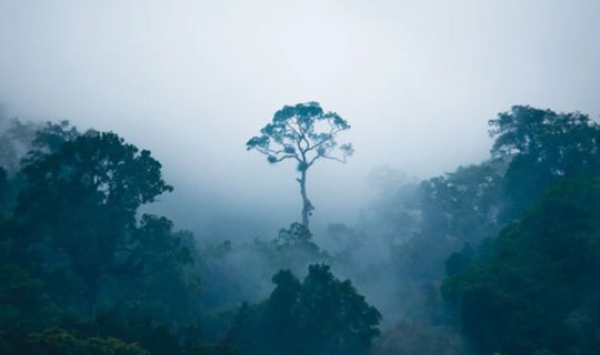 Cover ชมทะเลหมอก ชิมน้ำใจที่เขาพะเนินทุ่ง อุทยานแห่งชาติแก่งกระจาน...