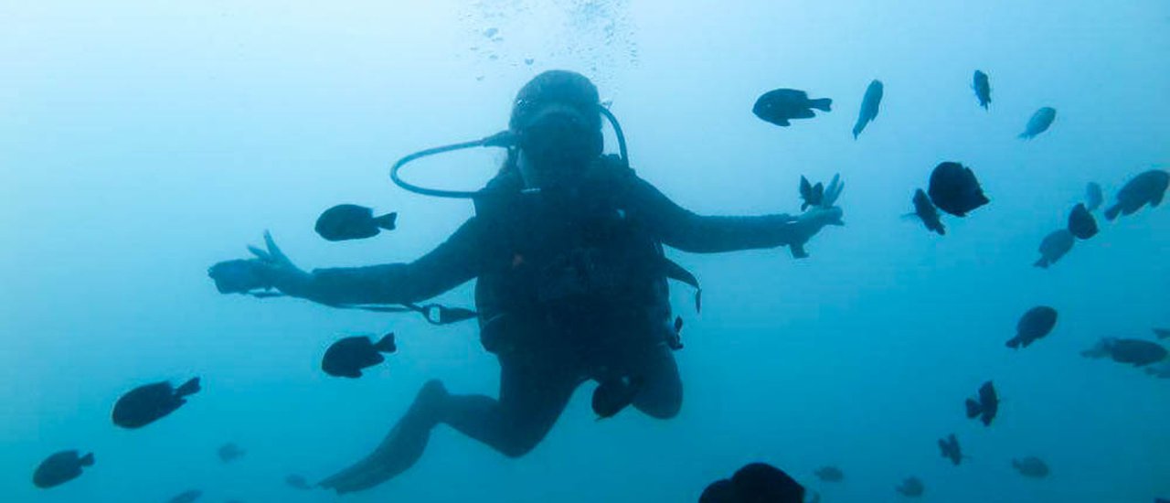 cover Scuba Diving at Koh Tao: First Time Experience
S C U B A . . . . F I R S T T I M E