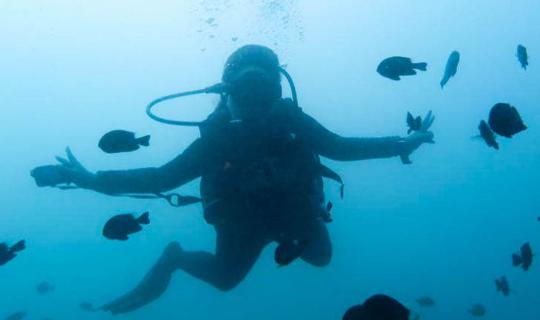 Cover Scuba Diving at Koh Tao: First Time Experience

S C U B A . . . . F ...