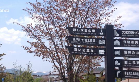 cover Hida Furukawa, the city of Koi
