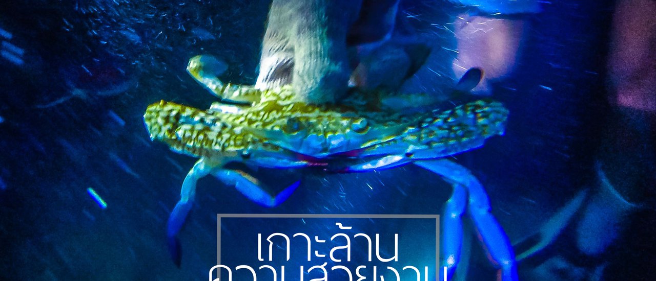 cover Koh Larn, the Forgotten Beauty, Episode 3