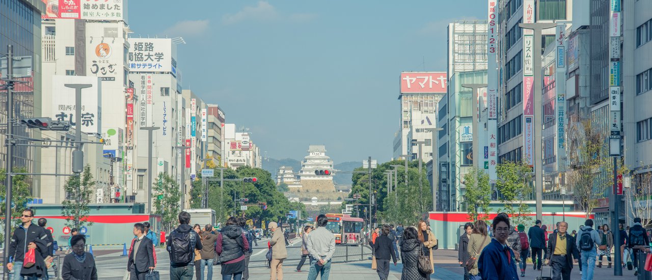 cover 1 Day in Kansai: Witness the Splendor of the Castle and Indulge in Renowned Sushi