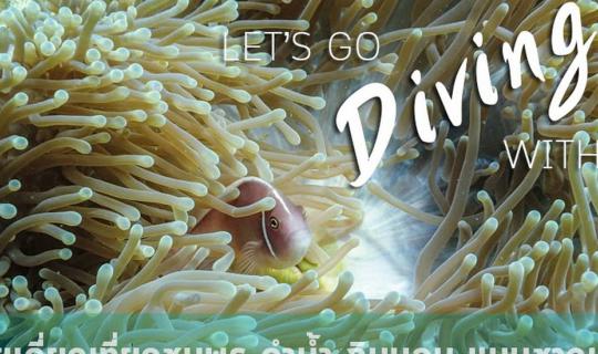 Cover ☆*:.。.| LET'S GO DIVING | Solo adventure in Chumphon: Diving, eating...