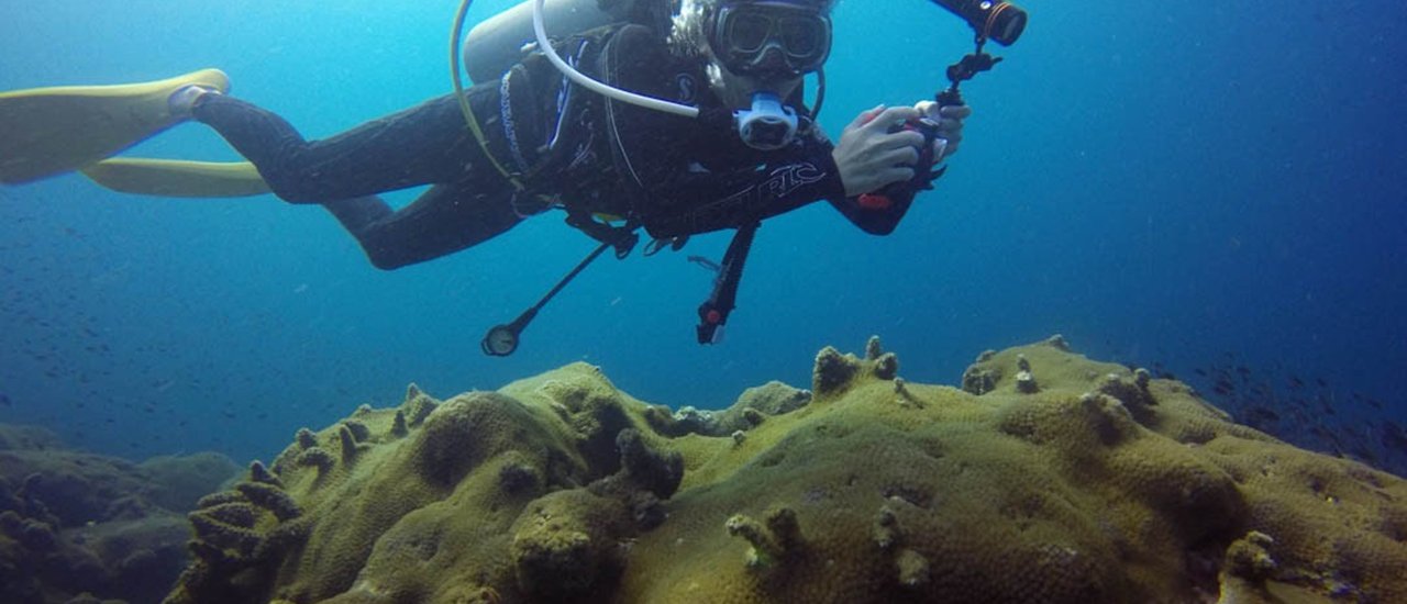 cover ☆*:.| LET'S GO DIVING | Diving in the Gulf of Thailand, just near the city of Prachuap Khiri Khan .:*☆