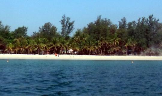 Cover Take me to see...the flower fields...by the Chumphon Sea....