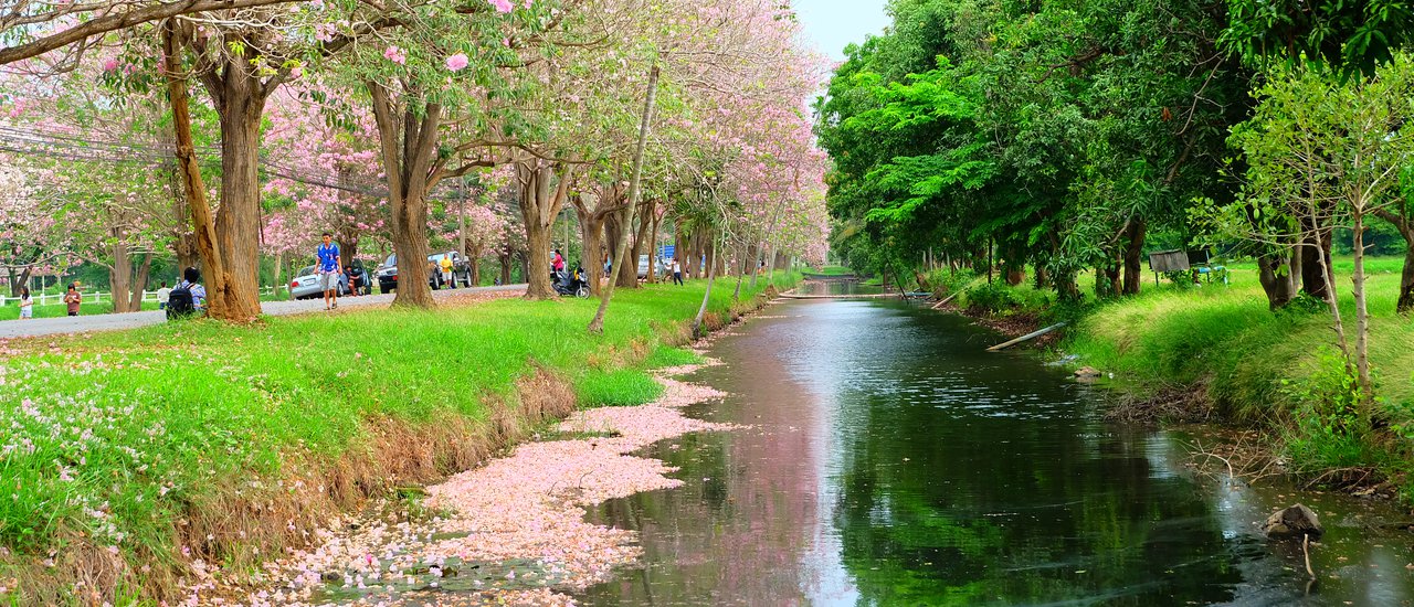 cover Sweet trip on Songkran Day 2015