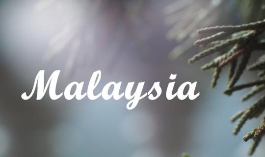 Cover A Solo Female Traveler's Guide to Malaysia (Because It's Awesome!) P...