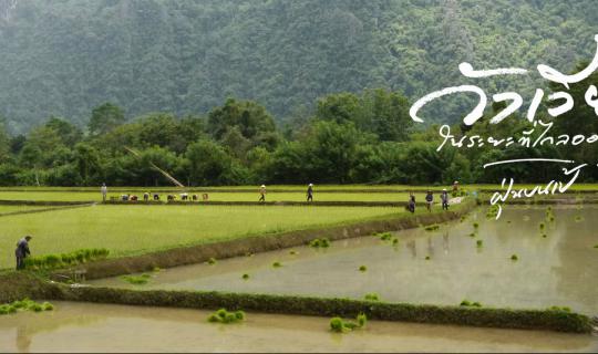 Cover Vang Vieng: In the distance...