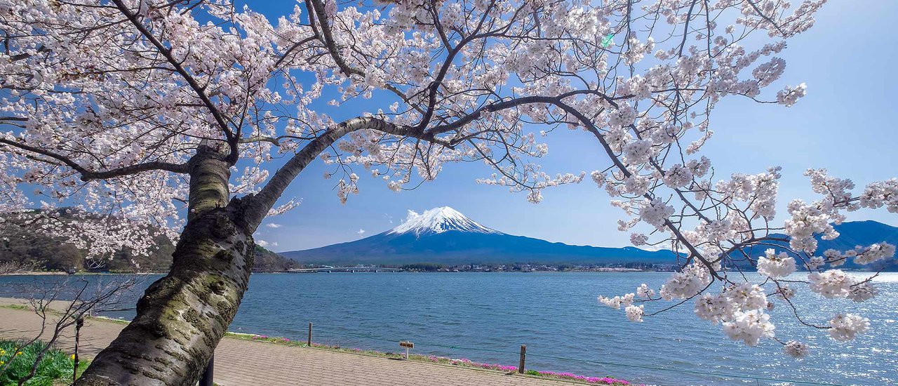 cover Top 5 Popular Souvenirs from Japan and Techniques for Buying Souvenirs Without Making the Other Person Feel Uncomfortable!!