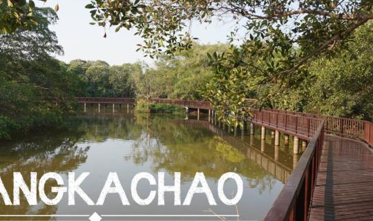 Cover ✿ : : BANGKACHAO : : ✿ ~ ONE DAY TRIP ~ Cycling around 'Bang Krachao...