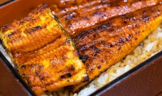 cover Unatoto Unagi: The Most Delicious Unagi Donburi in Ueno

This sentence is already in English. 

Is there anything else I can help you with?