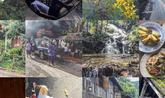 cover Mae Kampong Village: 48 Hours of Resting in Nature's Embrace