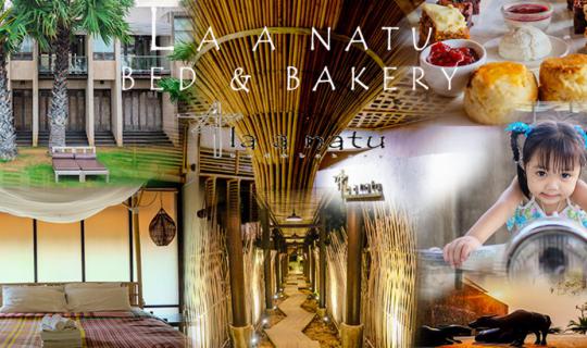 cover ★★★ Feast on Seafood with Yoksod, then Stargaze at La A Natu Bed & Bakery ★★★