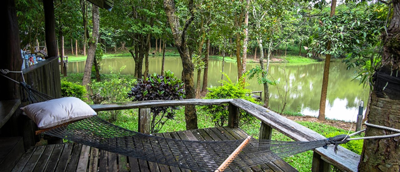 cover Leave our lungs here at "Chatchanat Woodland", a house in the big forest. Experience the scent of nature in Phu Ruea District.