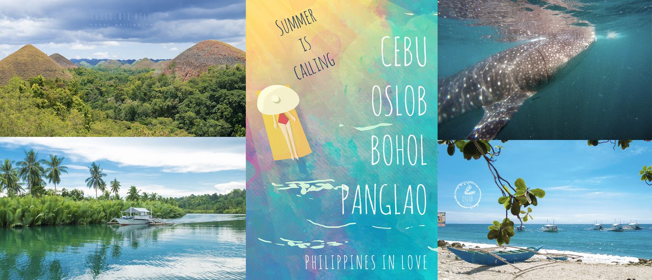 cover Share information about Oslob (Cebu) Panglao Bohol swimming with whale sharks, detailed travel information with estimated costs.