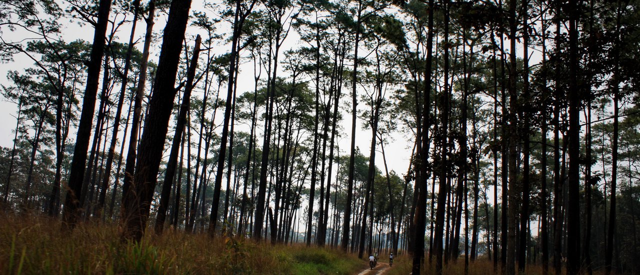 cover Spinning through the forest: Route 13 Thung Salaeng Luang, Thung Nang Phaya Mueang Len - A memorable trip