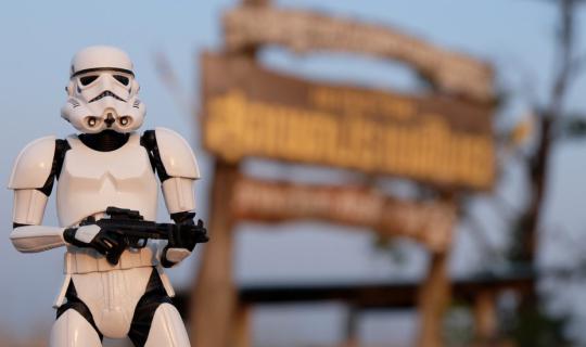 cover One person and one dog explore "Suan Phung" on a weekend getaway without worrying about sheep.