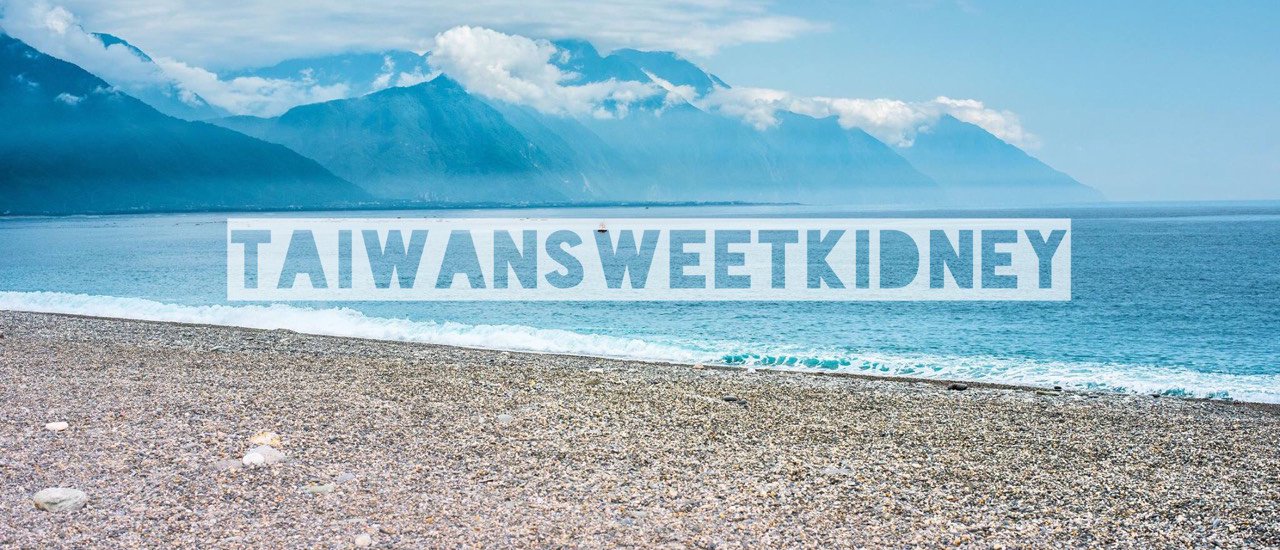 cover #taiwansweetkidney Taiwan Sweet Kidney: Day 1 - Hello Taiwan.♡