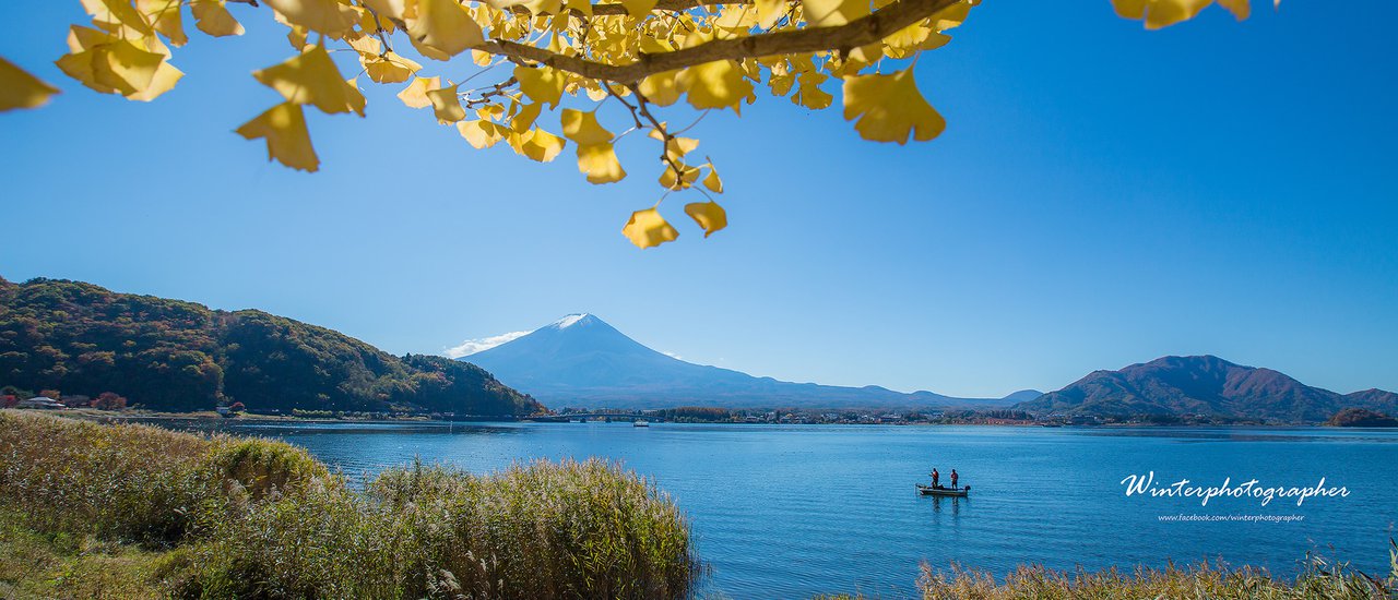 cover My autumn memories in Japan.