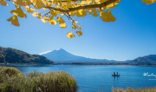 Cover My autumn memories in Japan....