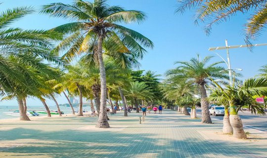 cover The remaining time from volunteering was used for a fun and delicious one-day trip, with a thrilling parasailing experience in Pattaya.