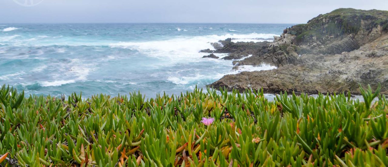 cover The Most Beautiful Road in America ~ Along the Pacific Coast, California