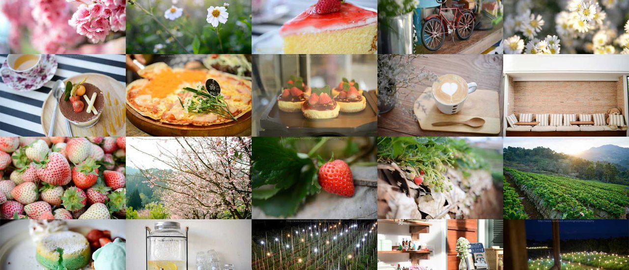 cover Chiang Mai... you make me fall in love every time I visit.