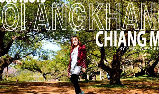 cover #Doy Ang Khang Trip :: Stop by for a chilly night amidst the strawberry fields at Baan Khop Dong!