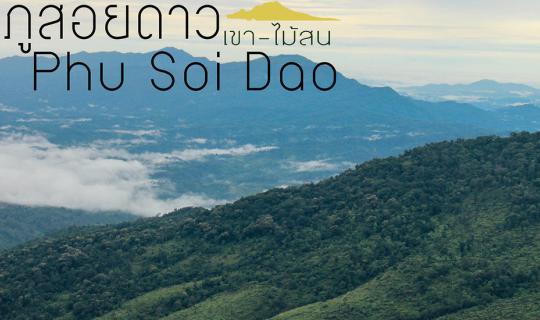 Cover 🍁 🍃 🍂 🌋  เมื่อหน้าฝนทำให้คนเหงา "ภูสอยดาว" คือคำตอบ 🌋🍁 🍃 🍂  ...