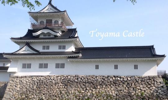 Cover Toyama Castle...