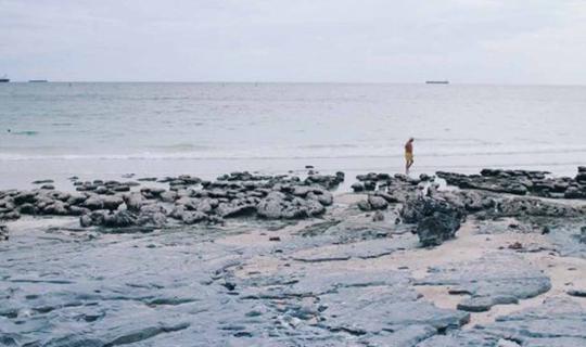 Cover Three people | 5 hours | On Koh Sichang Island...