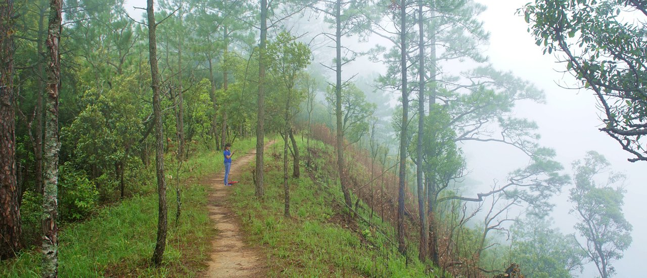cover Heaven's corridor The walkway above the clouds Chang Phuak Subdistrict, Mueang Chiang Mai District