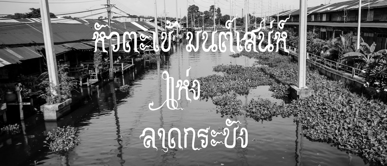 cover Alligator Head, Magic Charm @ Lat Krabang