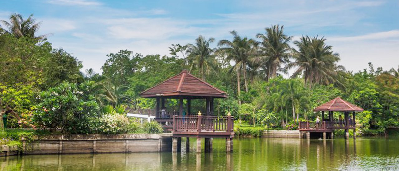 cover Let Your Heart Wander in Bang Krachao - Lat Pho