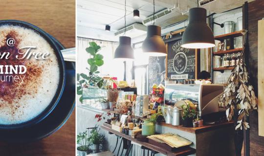 cover Green Space in the heart of the city | TOWN TREE