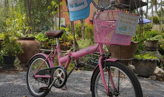 Cover Let's go cycling... and visit Bang Nam Phueng Market....