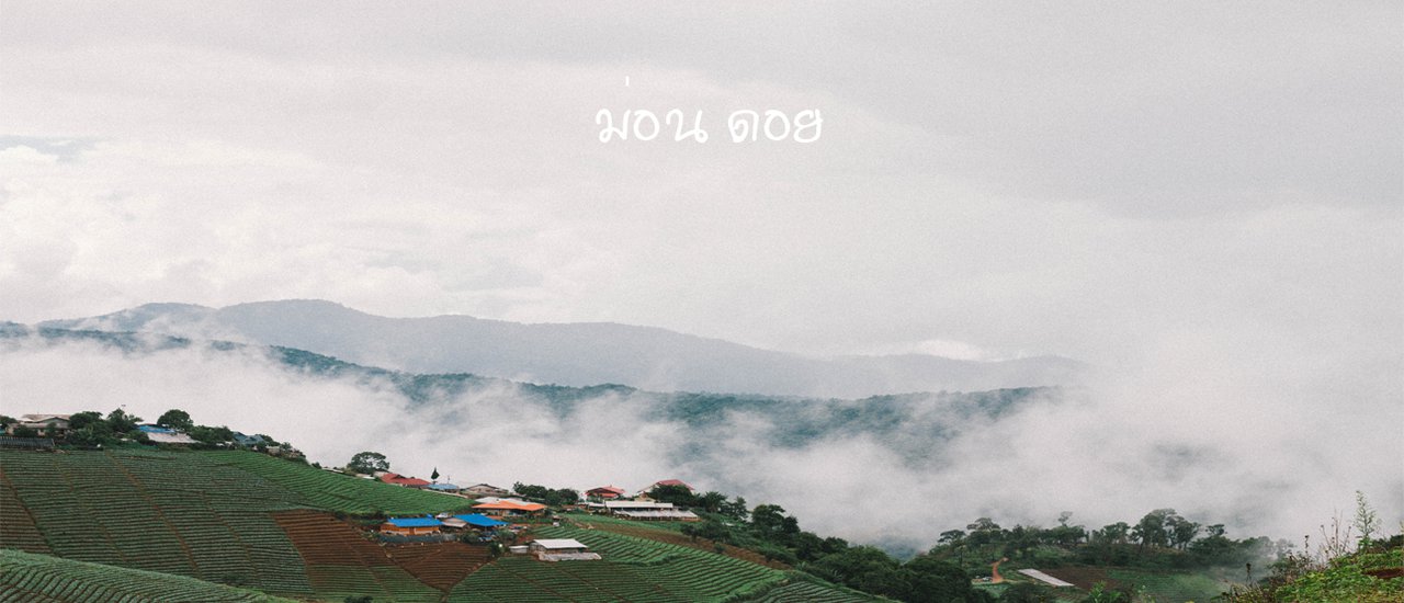 cover "Rainy season at Mon Doi" Relax and enjoy the sea of mist. A must-visit in Chiang Mai.