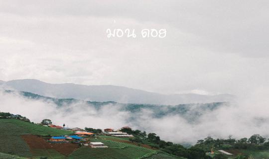 cover "Rainy season at Mon Doi" Relax and enjoy the sea of mist. A must-visit in Chiang Mai.