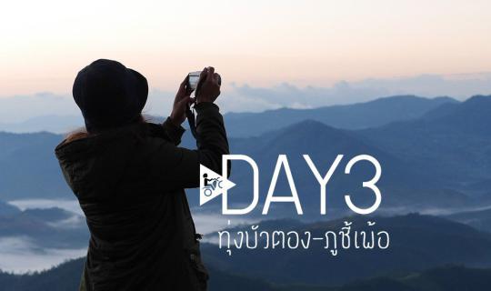 cover 7-Day Clockwise Loop: Chiang Mai - Mae Hong Son :::::::: Day 3 :::::::: Tung Bua Tong - Phu Chi Fah