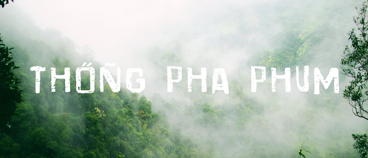 cover Alone in the mist and rain ... Here, Thong Pha Phum