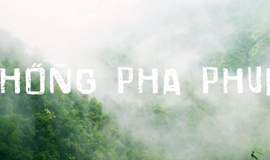Cover Alone in the mist and rain ... Here, Thong Pha Phum...